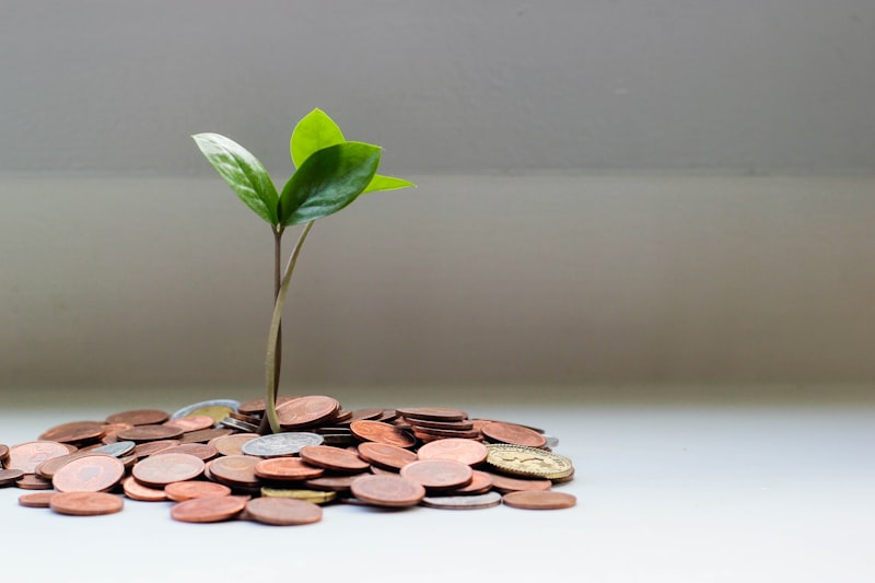 Piggy bank representing savings growth